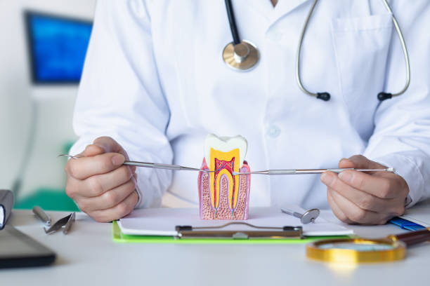 Best Cosmetic Emergency Dentistry in Cockeysville, MD